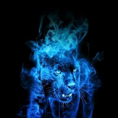 ITlover||Researcher||graphics designer||Crypto Enthusiastic ||code learner||computer scientists to be💗