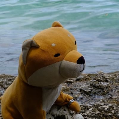 Dream the corgi🖌✏No longer using this accさんのプロフィール画像