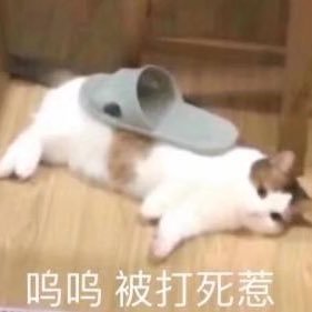 azxcv37289457j's profile picture. 