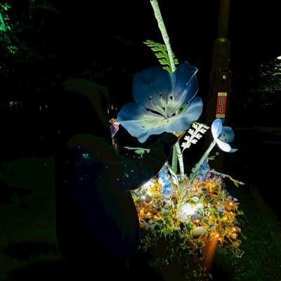 #orca #花組🌸 #呪術廻戦