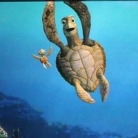 アオアオ (@hekitotori36673) Twitter profile photo