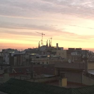 ksaltisland's profile picture. 戦争や災害、どう対応するのかしてるのか、誰が嬉しいのか嬉しくないのか。#長男サッカー選手#次男LGBTQ#🏕#ジロ−🍜＃35歳現役引退#自由#何故＃動物同士の戦いは無くならない。