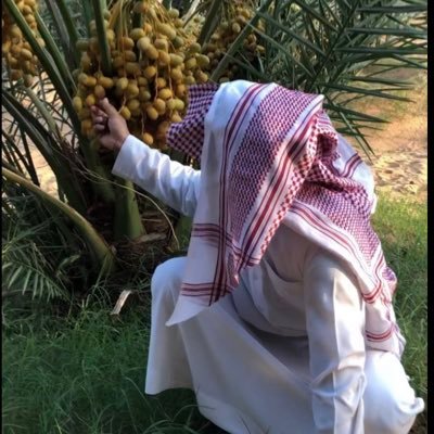 سوف يأتي يوم لا أكون معكم ، وسوف تدخلون لتقرأوا ماكتبت ، فإن وجدتم ما يؤجرني أنشروه ، وإن وجدتم ما يؤثمني أتركوه . .