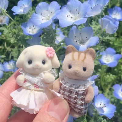 hanitosuto_'s profile picture. シルバニア/ワンエン /本島純政 /ルセラ🌸が好きです。 無言フォロー失礼します