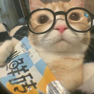 zxfmh_o's profile picture. 