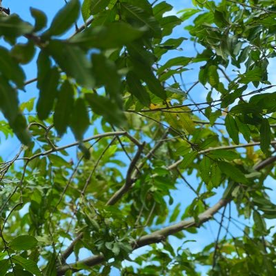 boluwatife03's profile picture. Public Health Professional || Sportybet || Believer 🇳🇬