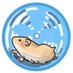 はむ助🐹30代から未経験でIT飛び込んだ人 (@dev_from30s) Twitter profile photo はむ助🐹30代から未経験でIT飛び込んだ人 (@dev_from30s) Twitter profile photo