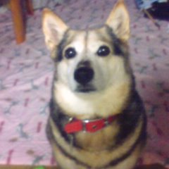 Mconさんのプロフィール画像