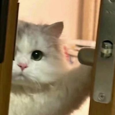 prasley3's profile picture. Menangis adalah kebahagian, kebahagiaan adalah tangisan