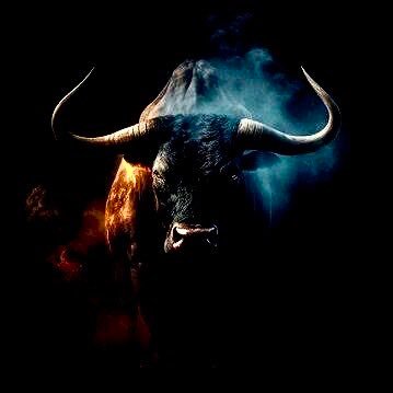 giga_bullz's profile picture. welcome to the #xrp community of the bulls :The xrp bulls are active and ready to get xrp to the newest heights . Time to get in with big bulls and take off 🚀