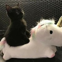 You know me :) (@tonys_secrets) 's Twitter Profile