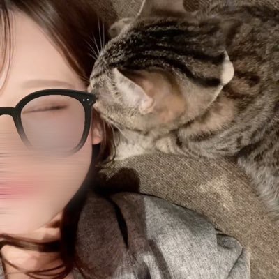 ぬこさんのプロフィール画像