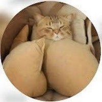 Puddingteilchen π¨π (@blackterium) 's Twitter Profile