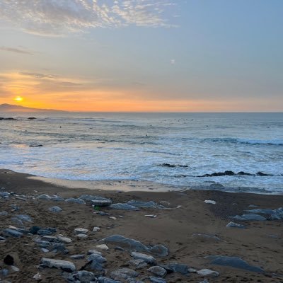 alcadebrigitte2's profile picture. Juriste engagée pour La Défense animale .végétarienne . Anti hallal. Pas de voile sur les têtes des femmes . je signale insultes et menaces Z et Sarah ⚜️