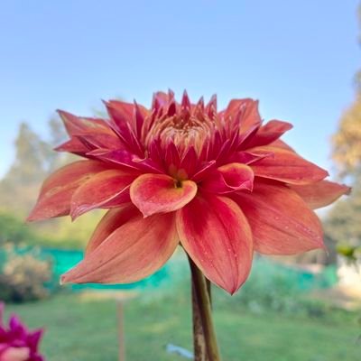 वहाँ तूफान भी हार जाते हैं, जहां कश्तियाँ ज़िद पर होती हैं।
#जय_श्री_राम
#मुझे_गर्व_है_कि_मैं_हिन्दू_हूँ,
#कट्टर_हिन्दू