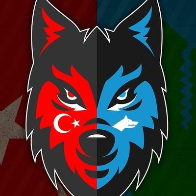 Taş kırılır, tunç erir ama Türklük ebedidir.