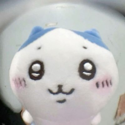 wiiiissssshhh Profile Picture