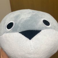 こはく (@qilkgxydyae7sot) 's Twitter Profile