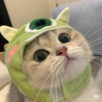 Ern (@xwonkn) 's Twitter Profile