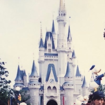 koala_tapioca's profile picture. 