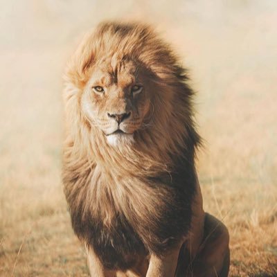 fyl1092390's profile picture. 