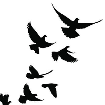 Solidarity_NE's profile picture. Organizing rural Lancaster County, PA. We're making our own seat at the table and we're bringing our neighbors along.