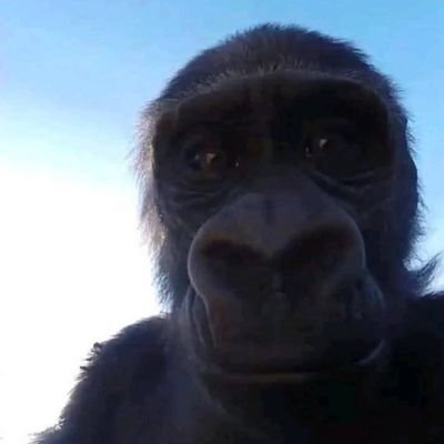 deogratias_owen's profile picture. @fuvu