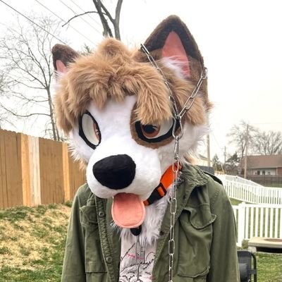 RinleyFox's profile picture. 