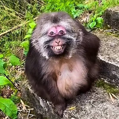 ggllherme's profile picture. 
