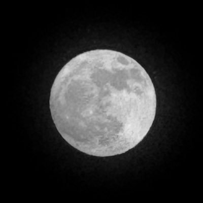 lltc9l's profile picture. 