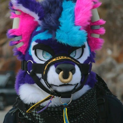 cyber wolf Profile