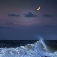 علي الوصابي (@alwsabyly20565) 's Twitter Profile