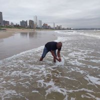 MOSH (@mosh2631) 's Twitter Profile