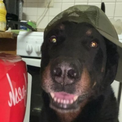 gamindici35's profile picture. 