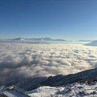 Safin Goulani (@safingoulani) Twitter profile photo
