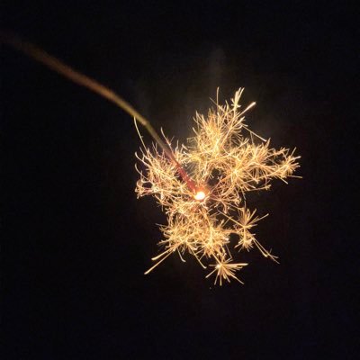 yagi_Wurts's profile picture. 1.東大 TMI 2.科学大 経営工学系 3.自大