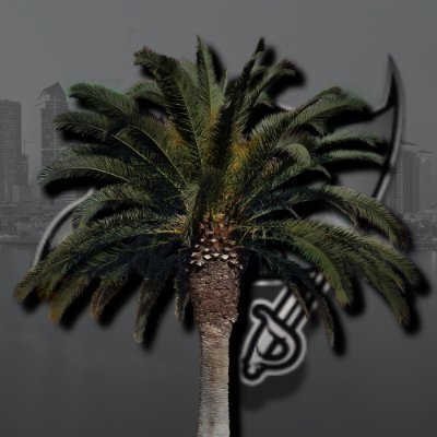 @Palm_TreePirate