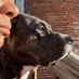 Tameka Suber (@momma0nthem0ve) Twitter profile photo Tameka Suber (@momma0nthem0ve) Twitter profile photo