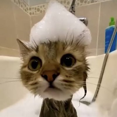 haluさんのプロフィール画像