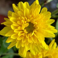 Manshi (@manshiorchid) 's Twitter Profile Photo Manshi (@manshiorchid) 's Twitter Profile Photo