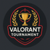Valorant Tournament (@vtournamen120) Twitter profile photo Valorant Tournament (@vtournamen120) Twitter profile photo