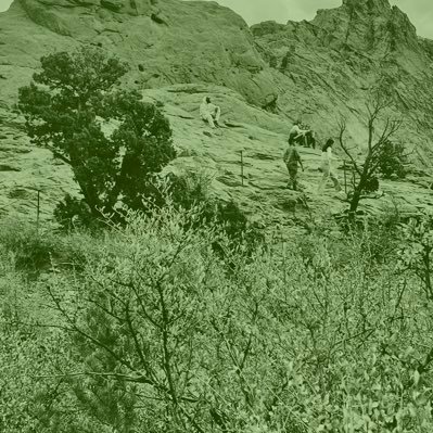 above_ceo's profile picture. 