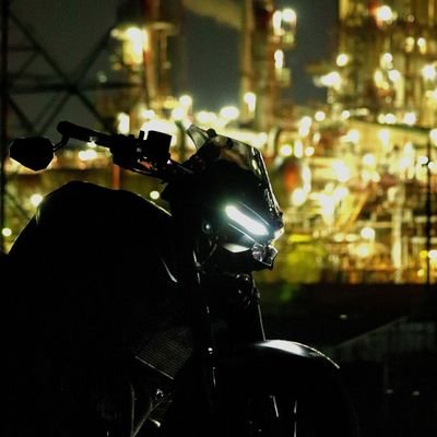 Lobelia15's profile picture. 