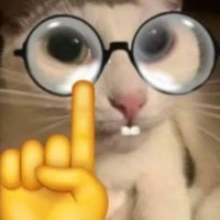 Nerdola Supremo (@nerdolasupremo) 's Twitter Profile
