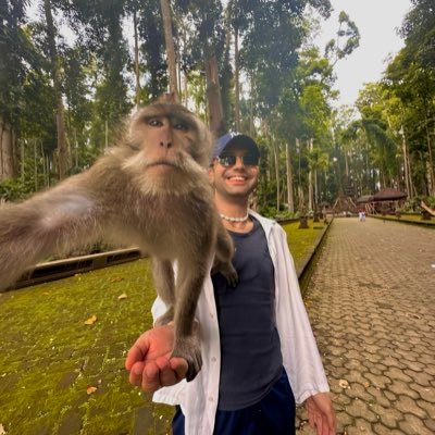 penguenfetisi's profile picture. 