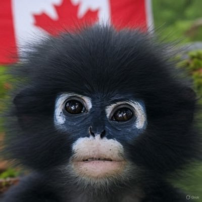 doug Profile