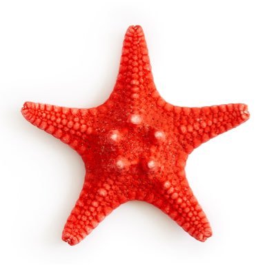 sisuandoulu's profile picture. 