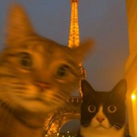 Luji Rasyidi (@luji_rasyidi) 's Twitter Profile