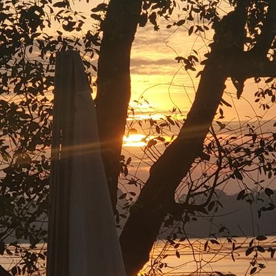 buupham1202's profile picture. 