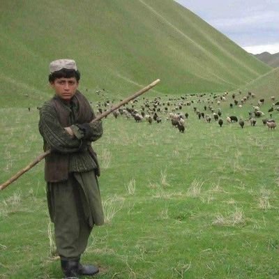په سرو وينو کي لت پت په پت کي ښه يم @ نه دي سرو زرو په تخت باندي بي پته،